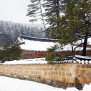 엠제이팀