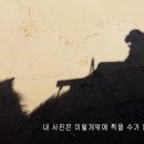 사막의오아시스 이미지
