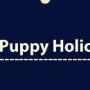 퍼피홀릭 이미지