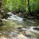 제 310차 정기산행 조무락골 (8/9,토) 이미지
