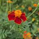 카페태그25 이미지