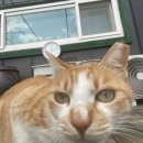 깍꼬뽁꼬 이미지