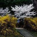 바람내음 이미지