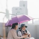단이마켓 이미지