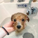 홍글몽글 이미지