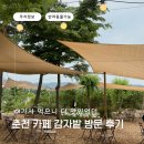춘천카페 추천 감자밭 택배정보 내돈내산 솔직후기 반려동물 가능