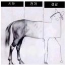정보샵 이미지