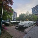 상암일미락 | [서울/상암]일미락 내돈내산후기