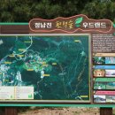 장흥편백랜드