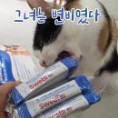 장보는고양이송탄점 - 1433 | 까다로운 고양이 유산균 급여 후기, 장까지 살아가는 포자형 유산균 스웨비