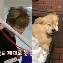 찰떡쿵떡 이미지