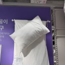 샤스민 이미지