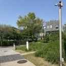문발공원 | 파주 여행) 미메시스 뮤지엄 유포리아 전시 후기