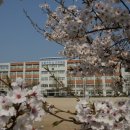 상일여자고등학교 네이버블로그