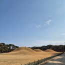 오릉 | 경주 오릉 다녀온 후기, 영업시간, 입장료, 주차장 정보 총 정리