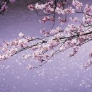 반가 이미지