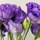 원일농장 이미지