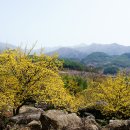 청산 - 수성구 범어천로 155-23 | 청산