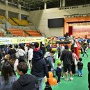 정선축사 투어코리아