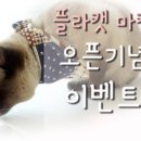 플라마켓 이미지