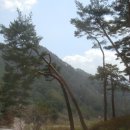 무릉도원면-26 이미지