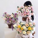 제이미플레르