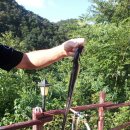 웰컴투오미골 이미지