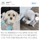 에버펫 동물병원 이미지