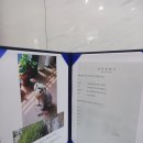 강아지 펫 헤븐 이미지