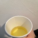 프로토콜(protokoll)