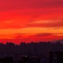 큰승주약국 이미지