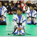 성무합기도 이미지