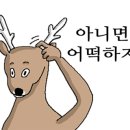 강촌우미숯불닭갈비 이미지