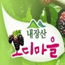 내장산 오디마을 이미지