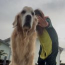 로얄동물메디컬센터 본원 이미지