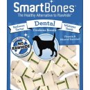 덴탈메트릭스 이미지