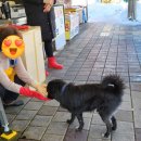 주문진둥지식당