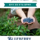 블루베리 앞 이미지