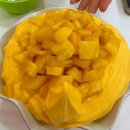 5박6일 무계획 보라카이 자유여행