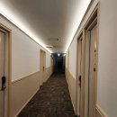 토요코인 대구동성로 | 대구 숙소 토요코인 호텔 동성로점 가성비 추천 내돈내산