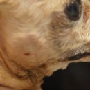 이지동물병원 이미지