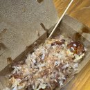 타코야미 | [순천 신대지구 타코야끼 맛집] 내돈내산, 문어 가득! 타코야미 순한맛 솔직 후기