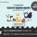 24시아프리카동물메디컬센터 | 아프리카동물메디컬센터_다리를 들고 절뚝… 3개월 강아지 대퇴골 골절 수술 (실제 사례)
