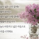 순간의 판단 미스, 나락으로? 이미지