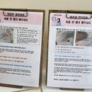 올라펫살롱 이미지