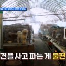 근인농장 이미지