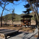 칠곡면신포숲 이미지