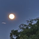 ＜순이 가슴에 뜬 보름달＞여름방학 할머니 집에 온 순이 이미지