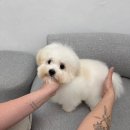 스테이 모량 이미지