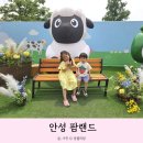 안성팜랜드 아기랑 토끼마을 동물먹이주기 체험 놀이기구